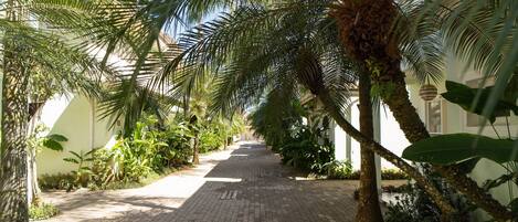 Áreas de la propiedad