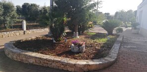 Property grounds - DETACHED VILLA APULIA, ( 5 KM FROM THE SEA AND 5 KM FROM OSTUNI) (Carovigno)