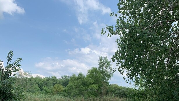 Two green Adirondack chairs facing a pond surrounded by dense greenery.