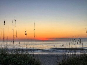 Beach - Amazing Ocean Views! (Carolina Beach)