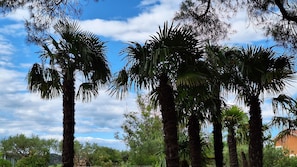 Jardines del alojamiento