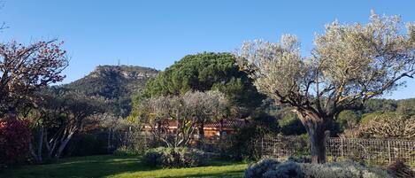 Áreas de la propiedad