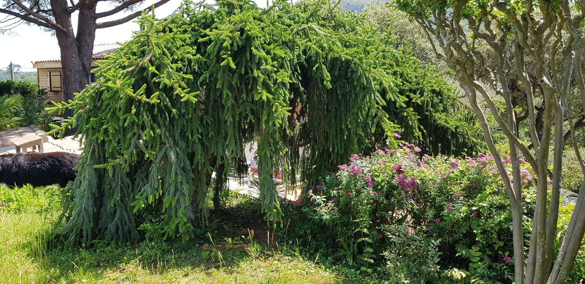 Parco della struttura