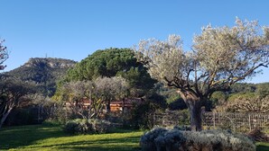 A garden with a variety of trees and a building with a red roof. - Sous le grand pin: swimming pool and spa (Gîtes Eden en Cévennes) in Anduze (Anduze)