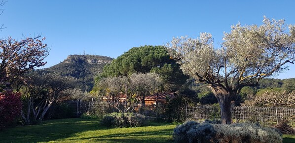 Áreas de la propiedad