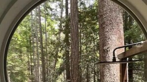A window with a view of a forested area, including tall trees and a wooden deck.