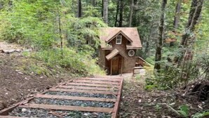 A wooden cabin in a forest with a gravel path leading to it.