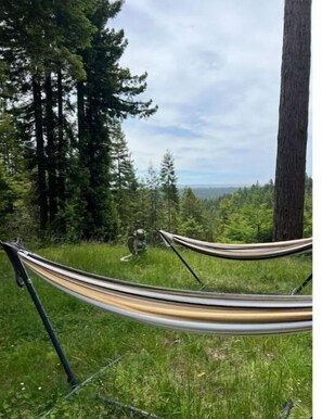 Terrain de l’hébergement 