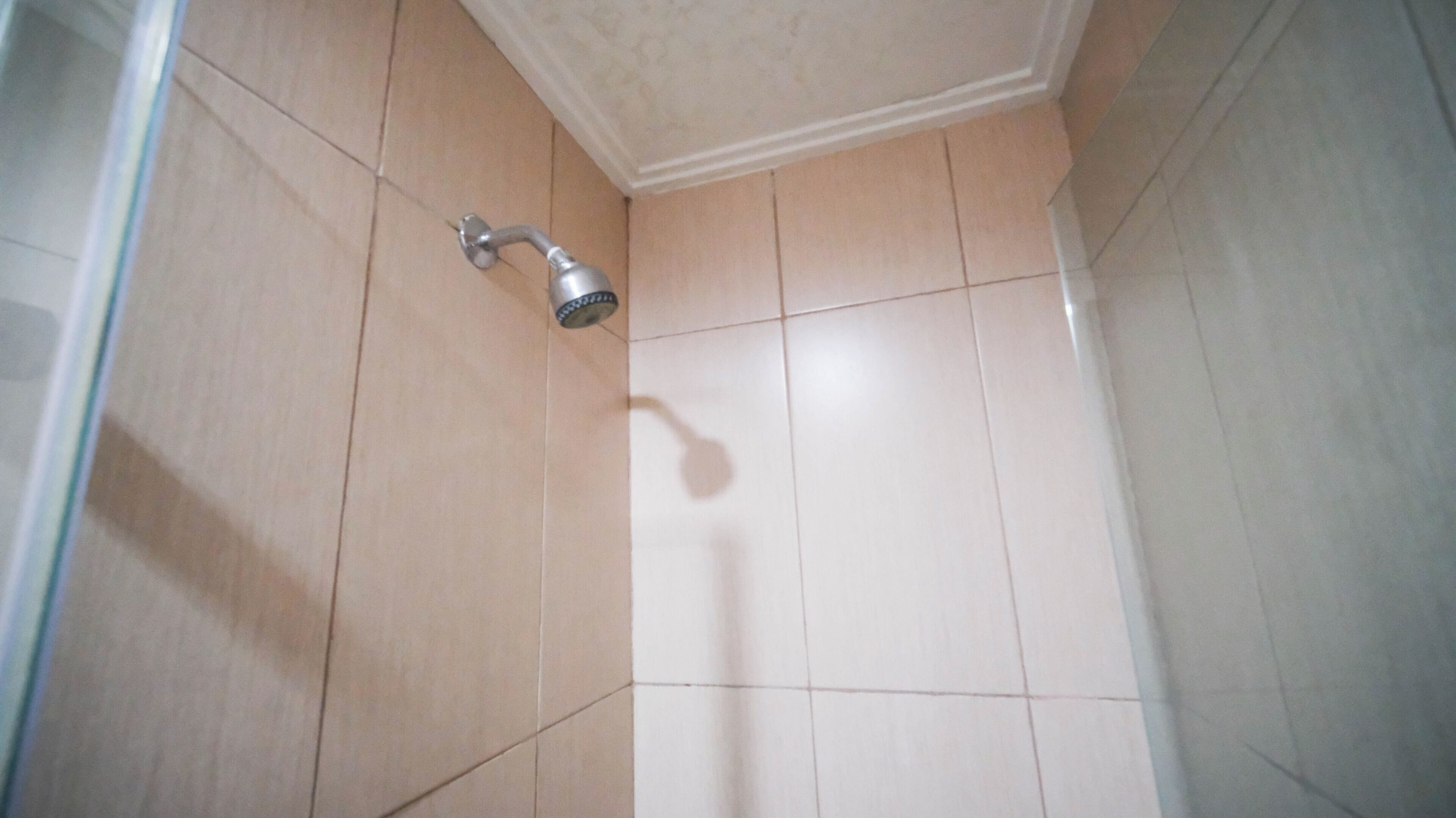 A tiled shower area with a showerhead.