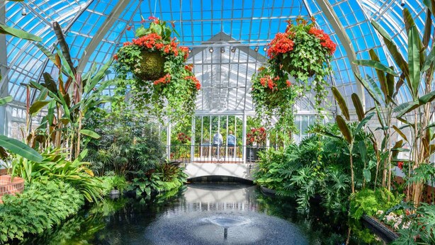 Une serre dotée d’un toit en verre, d’une fontaine centrale et de diverses plantes et fleurs.