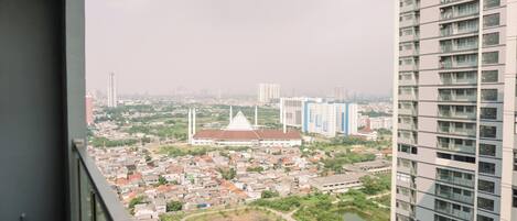 Deluxe Apartment | View from room