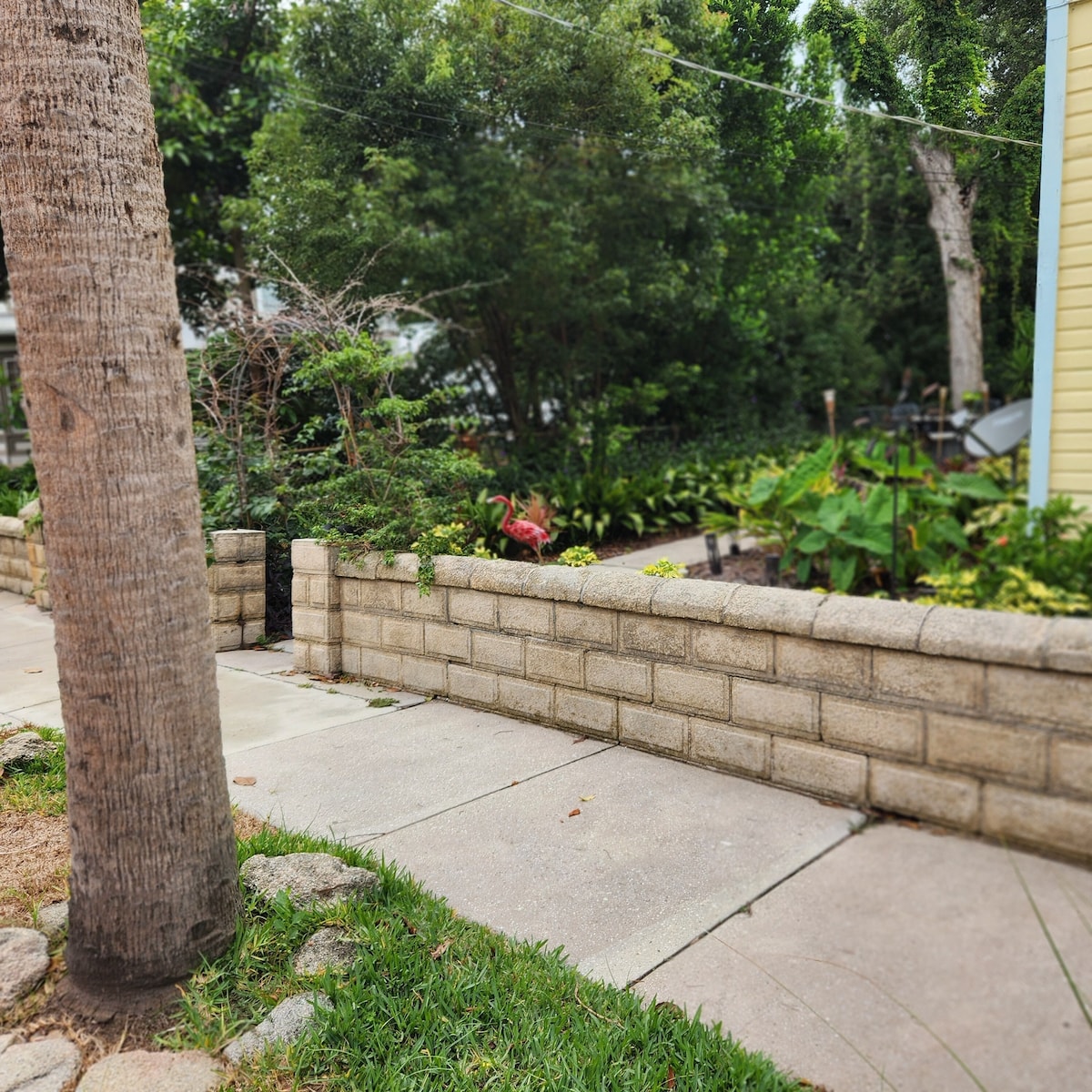 Photo 28 of Lofty Treetop Apt. 2bd/1.5ba pet friendly. Close to everything.