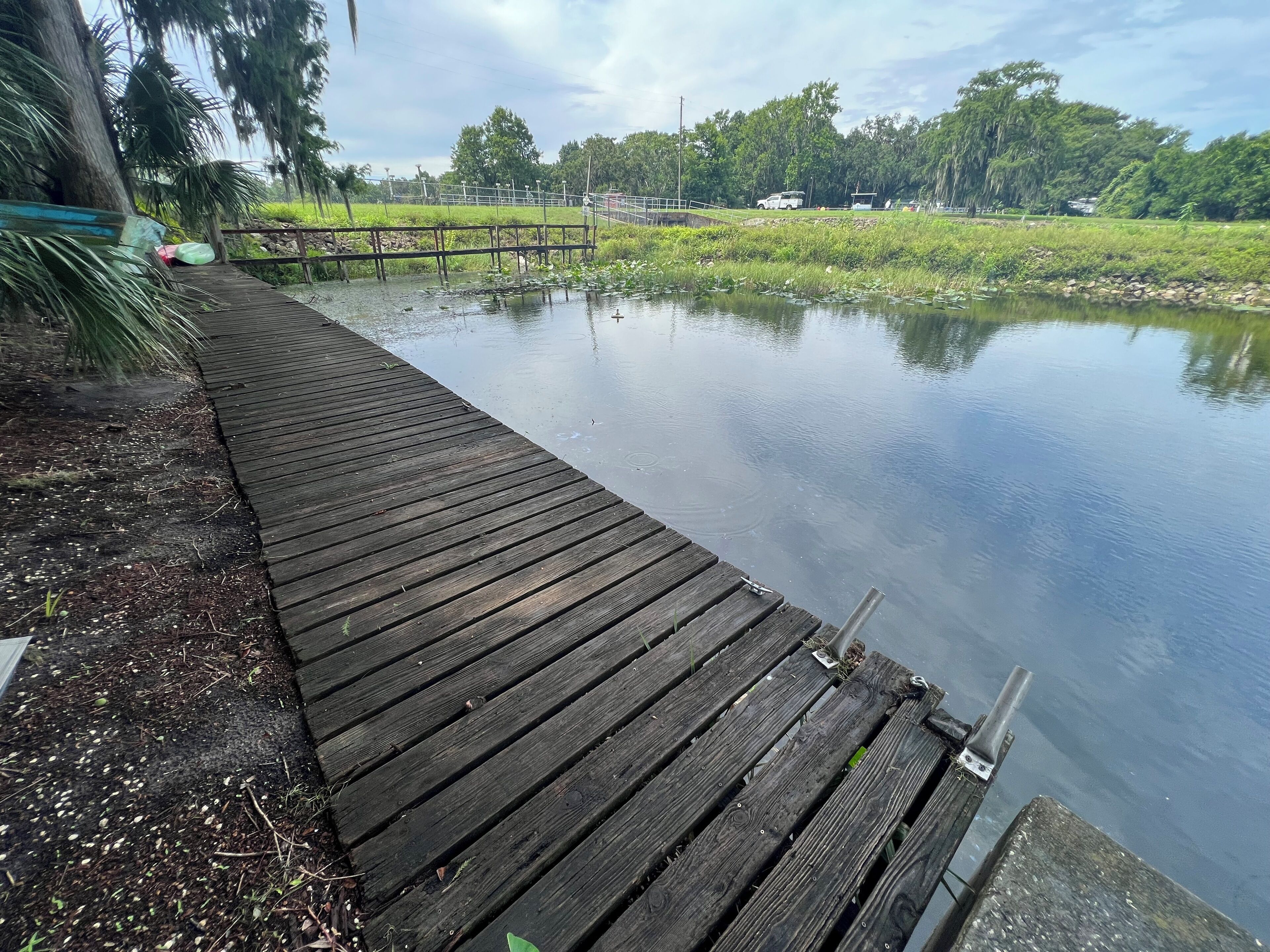 Un molo in legno si protende su una superficie d'acqua calma, circondato da una vegetazione rigogliosa e alberi.