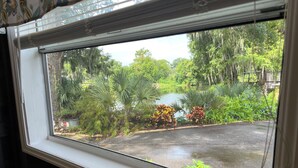 Una ventana con vistas a un jardín con diversas plantas y un estanque.