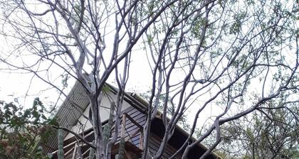 Ocean View Cabin, Taganga
