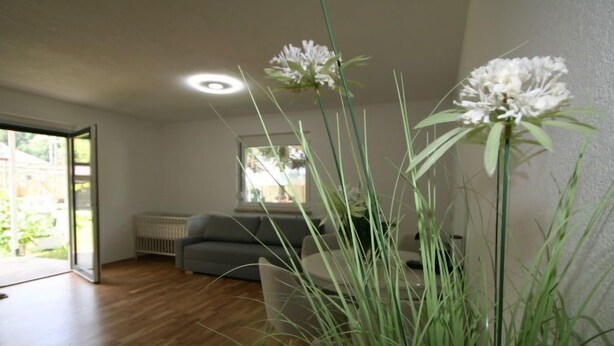 Ein modernes Wohnzimmer mit grauem Sofa, einem großen Fenster und einer Pflanze im Vordergrund.