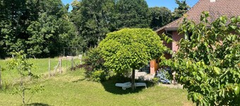 Très Proche du lac