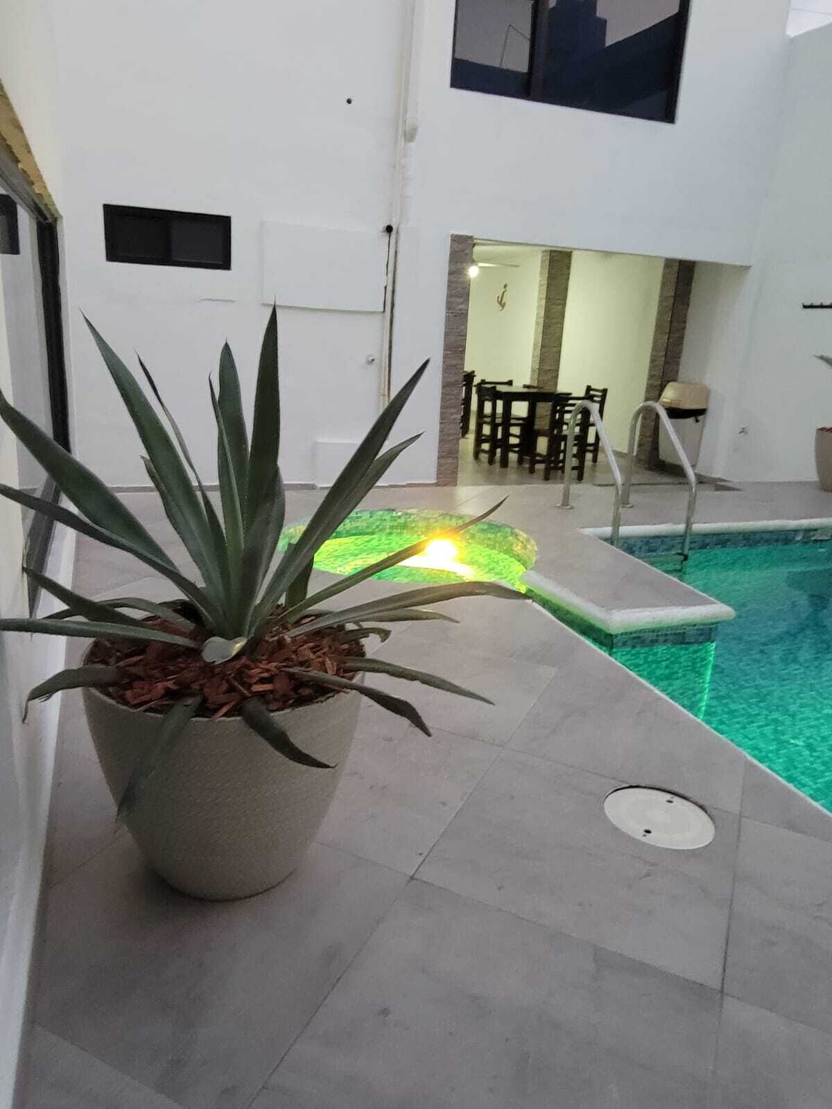 Un área de piscina con una planta en maceta, una mesa junto a la piscina y una silla.