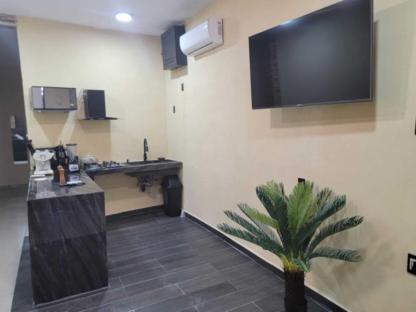 Una cocina moderna con encimera de mármol, estufa integrada y un lavamanos. Hay una planta en maceta y un televisor de pantalla plana montado en la pared.