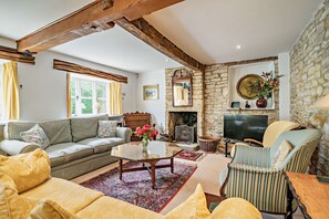 Télévision, cheminée, lecteur de DVD, livres