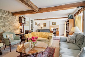 Télévision, cheminée, lecteur de DVD, livres