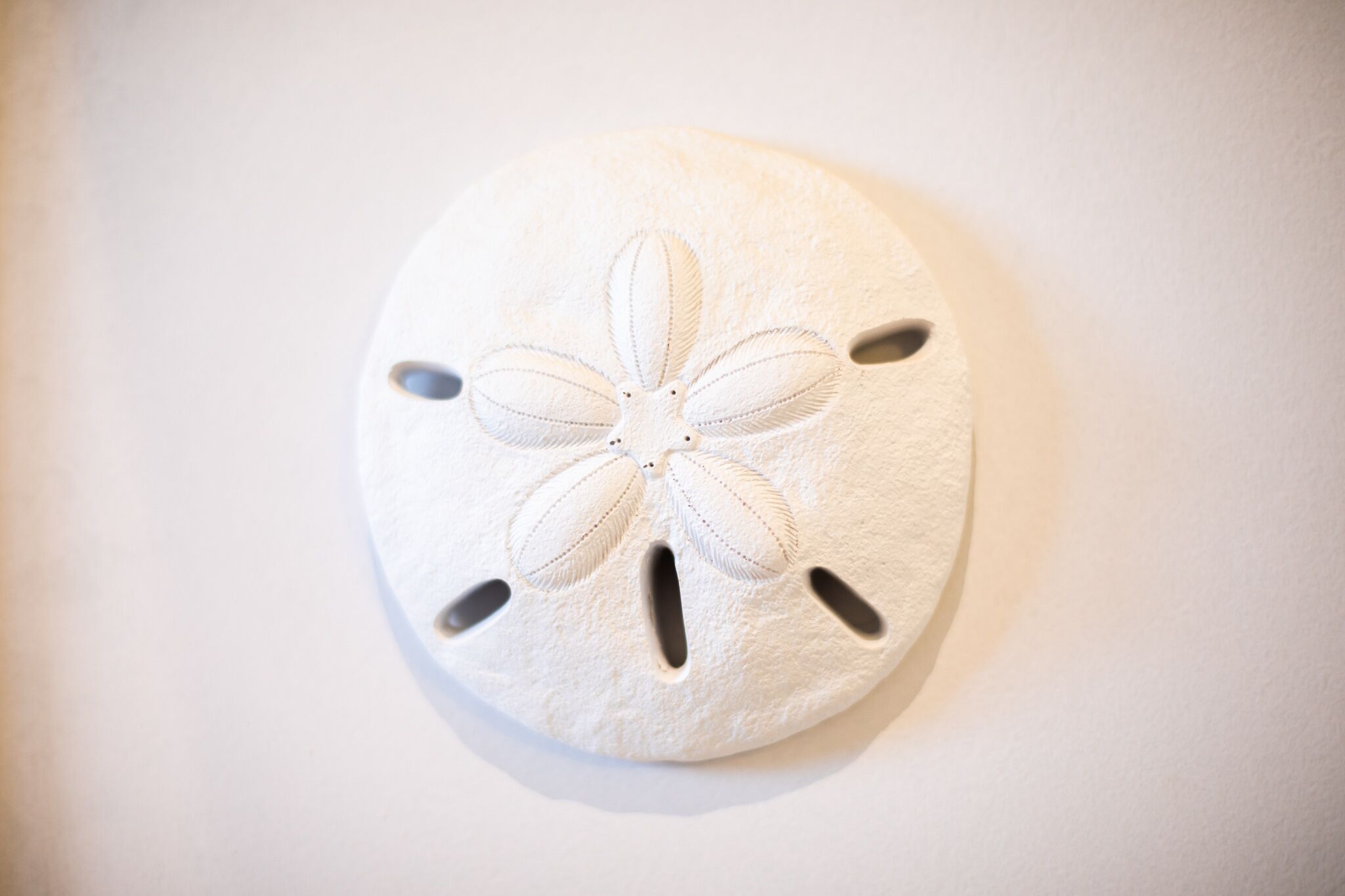 A white, circular object with a flower-like design and four cutouts.