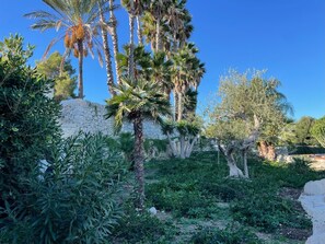 Jardines del alojamiento