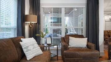 智能電視、壁爐、電子遊戲、書籍