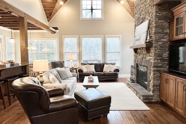 TV connectée, cheminée, lecteur de DVD, livres