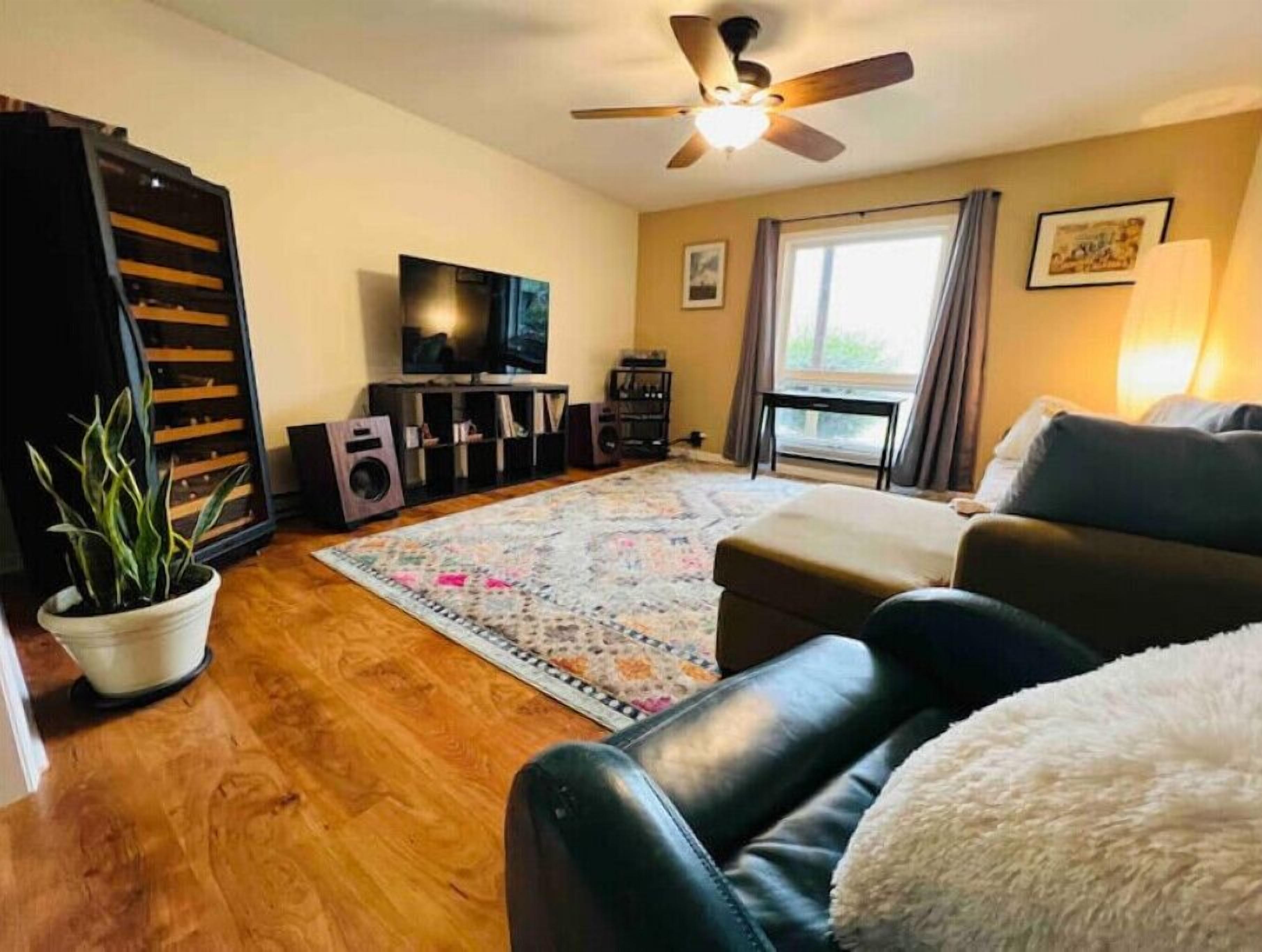 Smart TV, music library, stereo, computer monitors