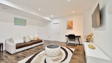 TV connectée, cheminée, jeux vidéo, lecteur de DVD