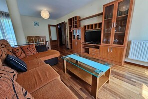 Televisor 