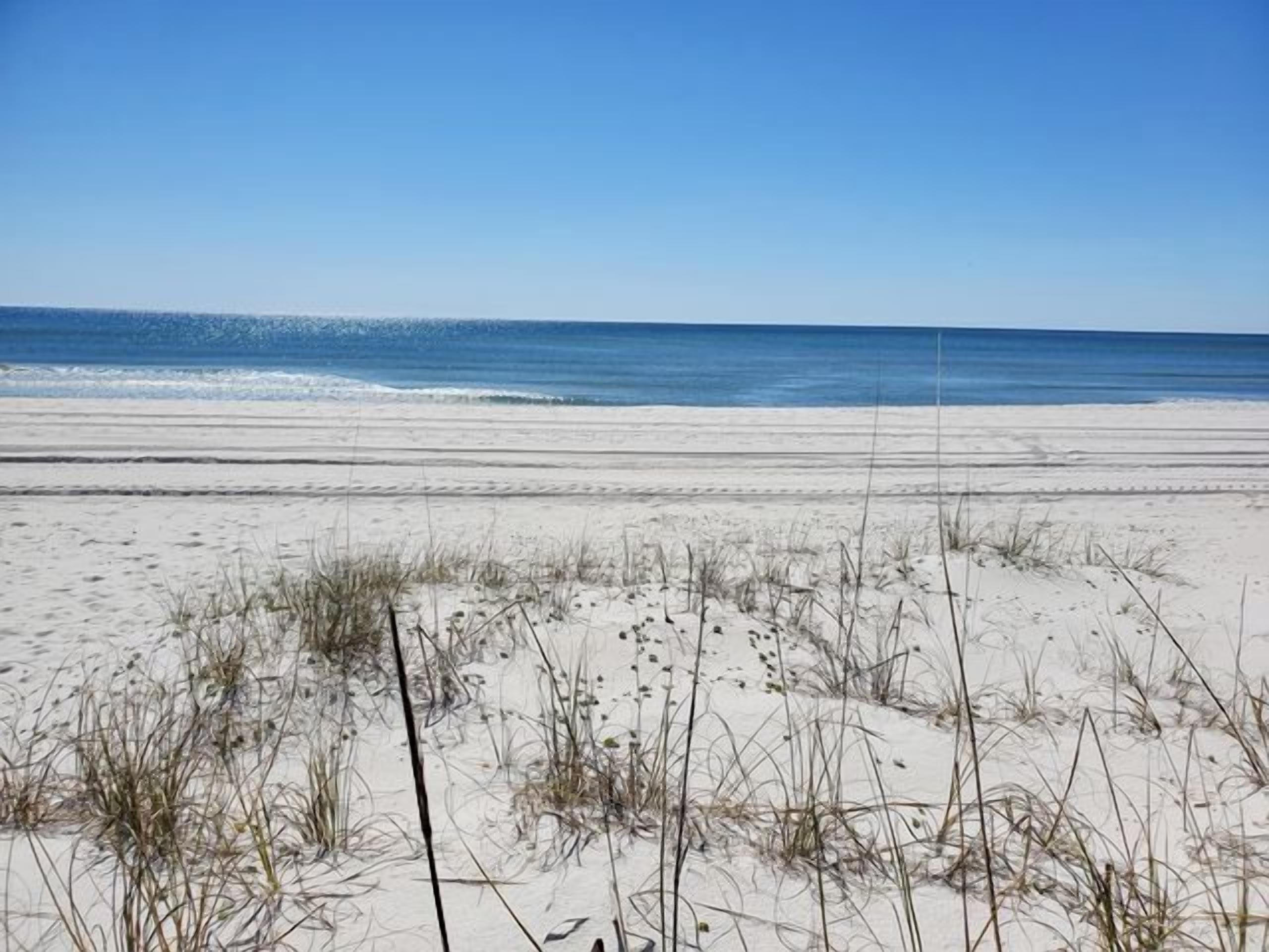 Ein Strand mit Sand und vereinzelter Vegetation im Vordergrund.