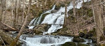 Mountainview Properties #11