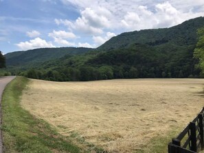 Property grounds - Mountainview Properties #13 (Saltville)