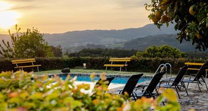 Quinta Stº António | A Casinha | Monção | Rural Tourism | Pool