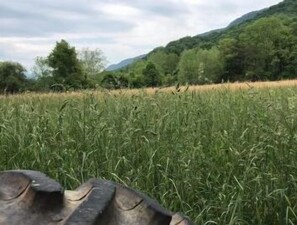 Exterior - Mountainview Properties #6.5 (Saltville)