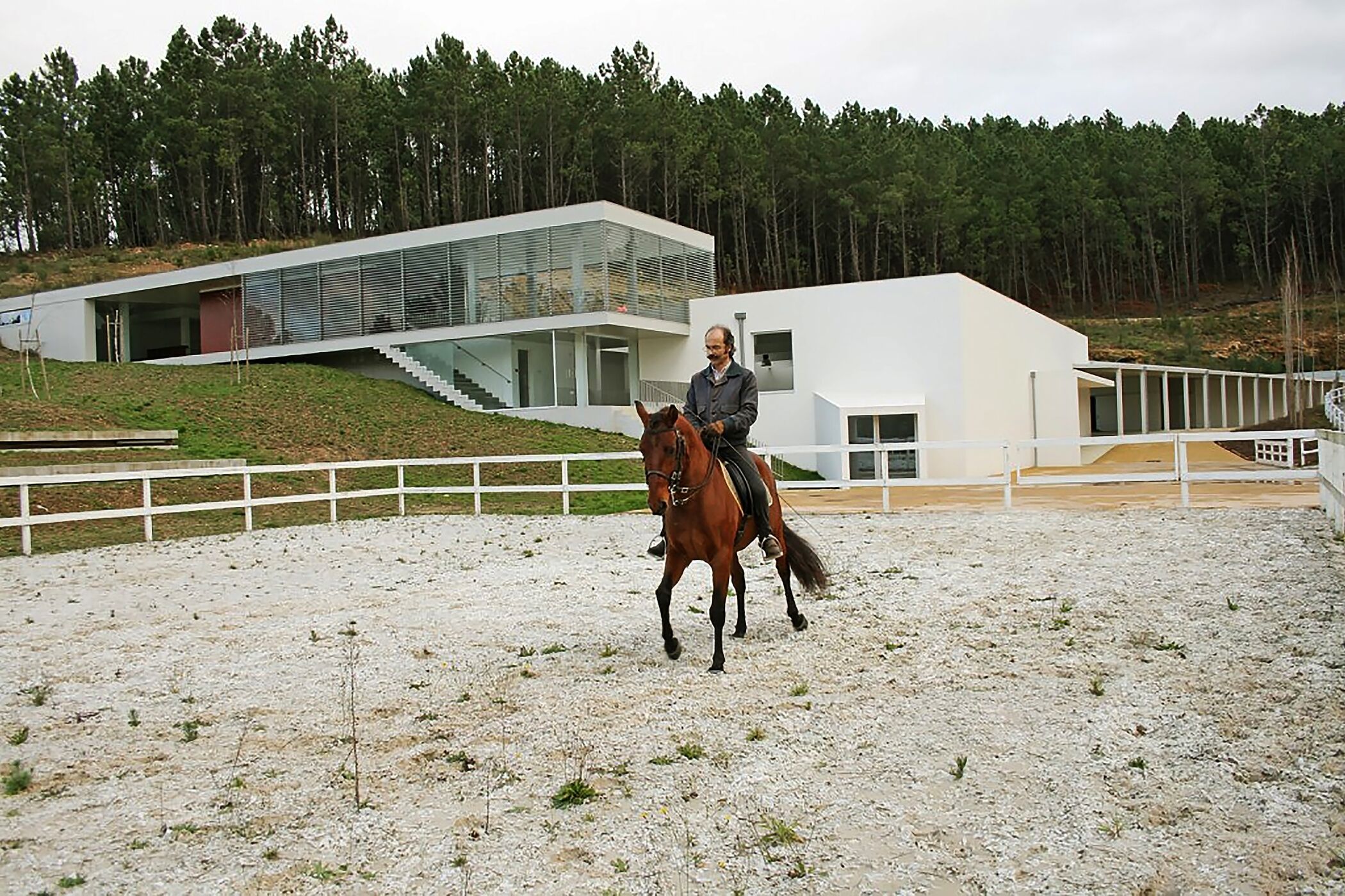 Un edificio moderno con fachada blanca y grandes ventanales, rodeado de una zona cercada con un jinete y un caballo.