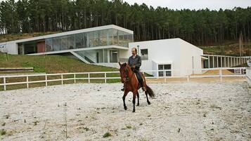 Un edificio moderno con fachada blanca y grandes ventanales, rodeado de una zona cercada con un jinete y un caballo.