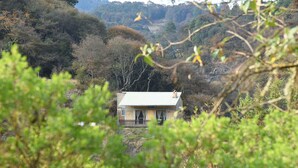 A house with a white roof, surrounded by dense forest. - Cabaña El Encino en Real del Monte (Mineral del Monte)