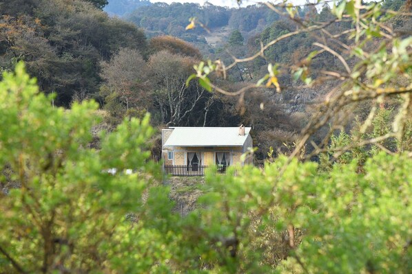 A house with a white roof, surrounded by dense forest.