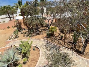 Stroll through the serene garden, featuring a variety of desert plants and a winding stone pathway.