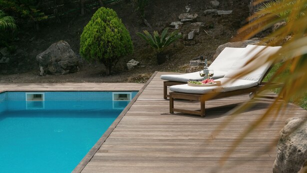 Une terrasse en bois avec une piscine, des chaises longues et un petit arbre.