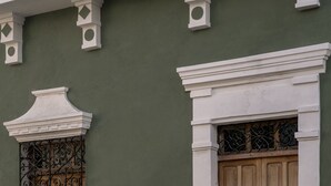 A building facade with a green wall, a wooden door with decorative ironwork, and a potted plant on the ground.