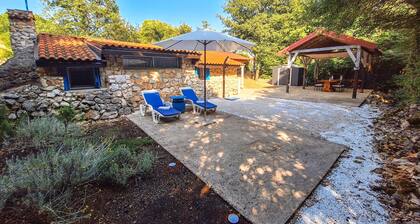 1 bedroom nice home in Risika