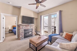 Smart TV, fireplace, books