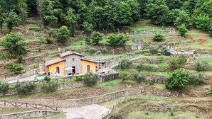 Ein rustikales Steinhaus mit rotem Dach, umgeben von einer Steinmauer und einem gepflasterten Weg.