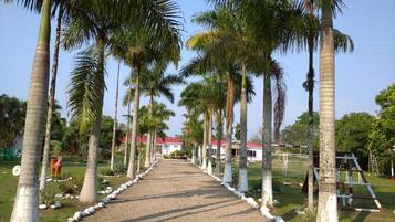 Un sendero bordeado de palmeras que conduce a un edificio con techo rojo.