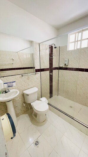 Une salle de bain avec douche, toilettes et lavabo.
