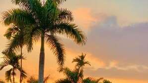 A pathway lined with palm trees and a fountain, leading to a building with a red roof. - Hotel Rosalinda Campestre del Llano (Villavicencio)